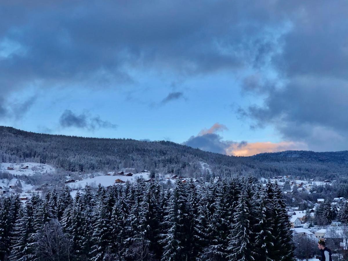 Le Bois Des Neiges Charmant Chalet Authentique A 5 Mn De Gerardmer Xonrupt-Longemer Zewnętrze zdjęcie