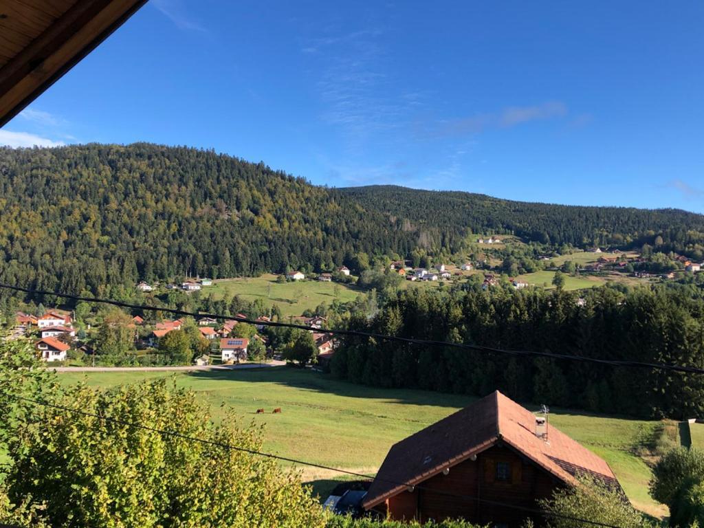 Le Bois Des Neiges Charmant Chalet Authentique A 5 Mn De Gerardmer Xonrupt-Longemer Zewnętrze zdjęcie