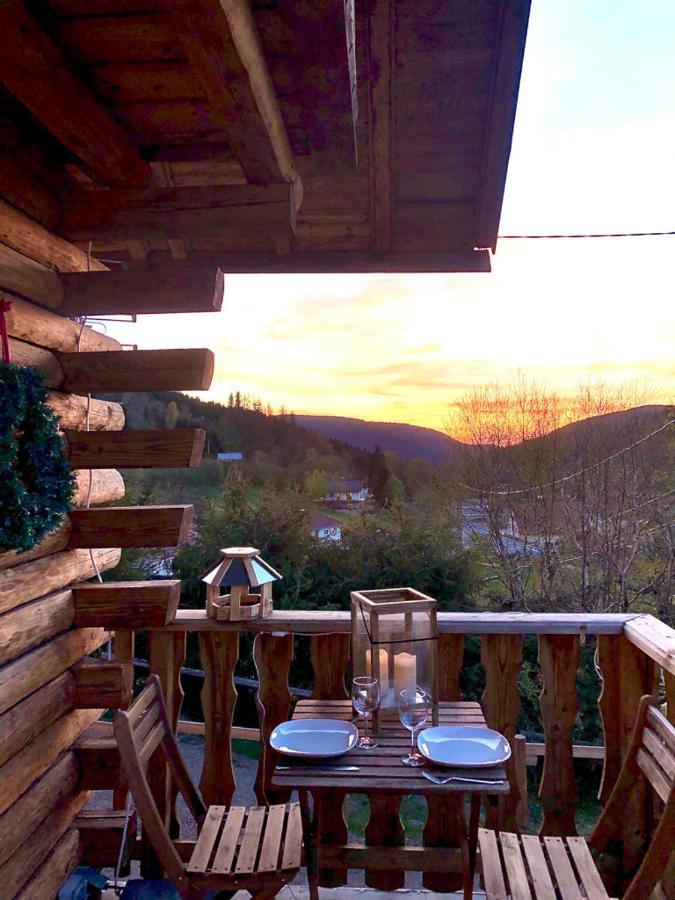 Le Bois Des Neiges Charmant Chalet Authentique A 5 Mn De Gerardmer Xonrupt-Longemer Zewnętrze zdjęcie