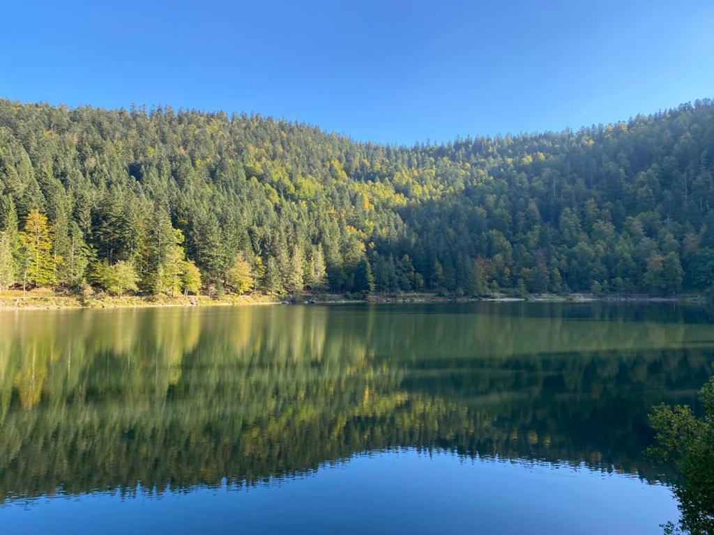 Le Bois Des Neiges Charmant Chalet Authentique A 5 Mn De Gerardmer Xonrupt-Longemer Zewnętrze zdjęcie