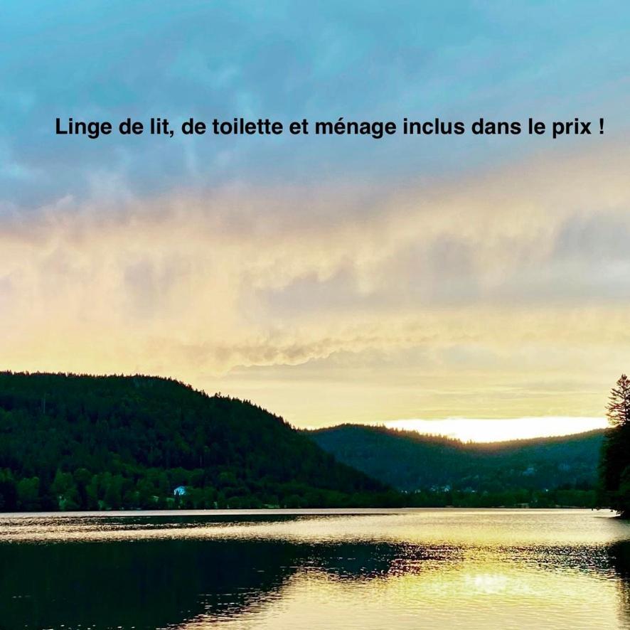 Le Bois Des Neiges Charmant Chalet Authentique A 5 Mn De Gerardmer Xonrupt-Longemer Zewnętrze zdjęcie